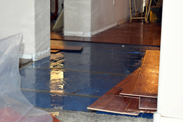 Professional Burst Pipe Cleanup technician working in Medway, MA